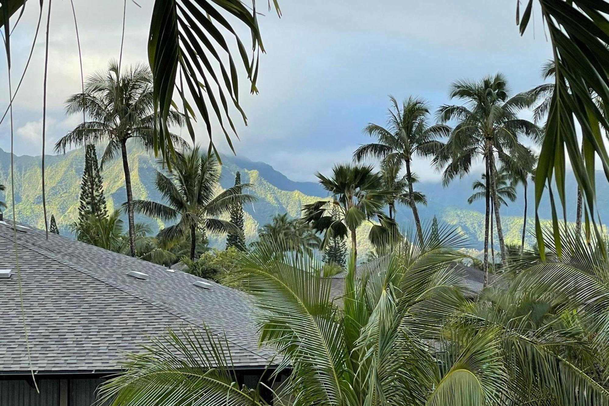 View House Tower! Villa Princeville Kültér fotó