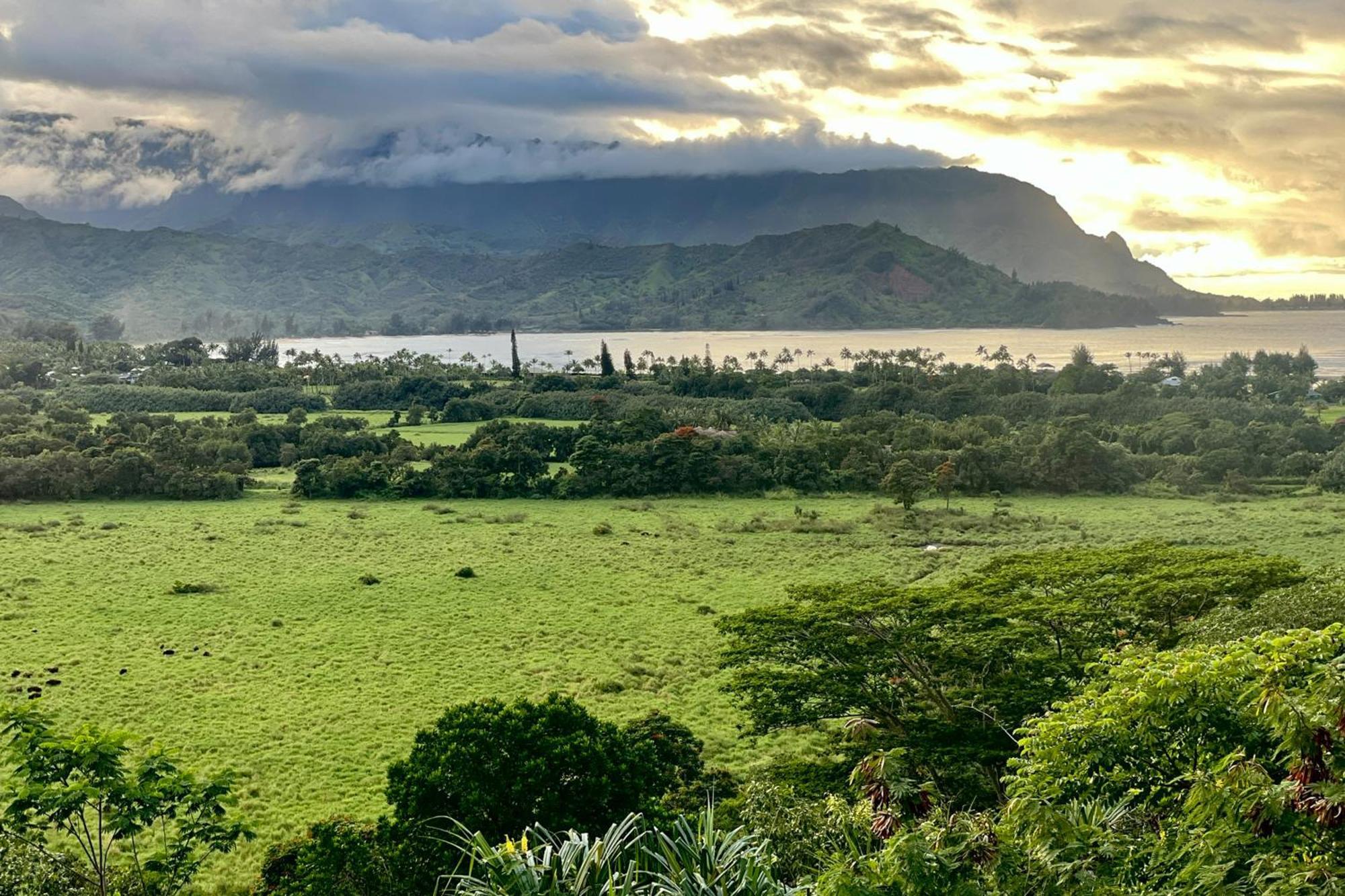View House Tower! Villa Princeville Kültér fotó